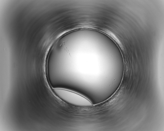 X0000093771339200710160849