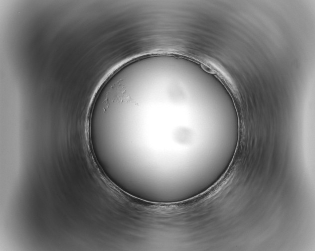 X0000093771340200710160849