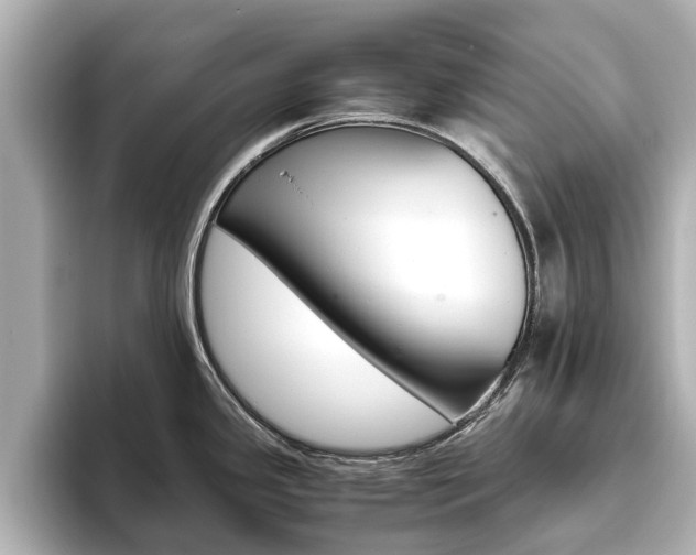 X0000093771341200710160849
