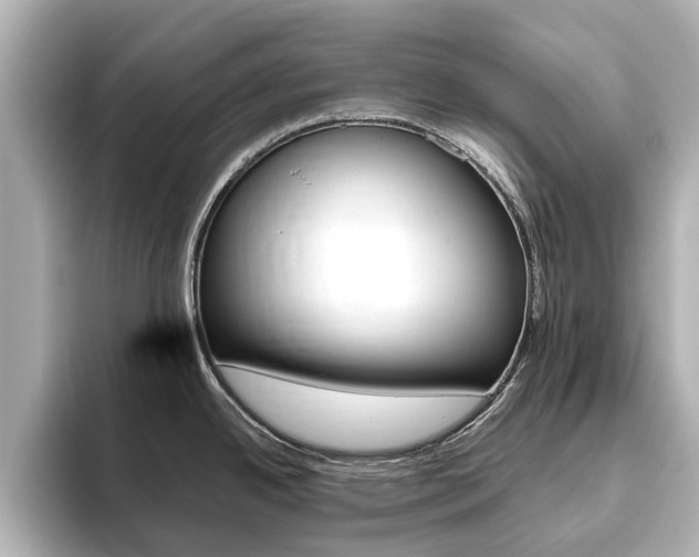 X0000093771342200710160849