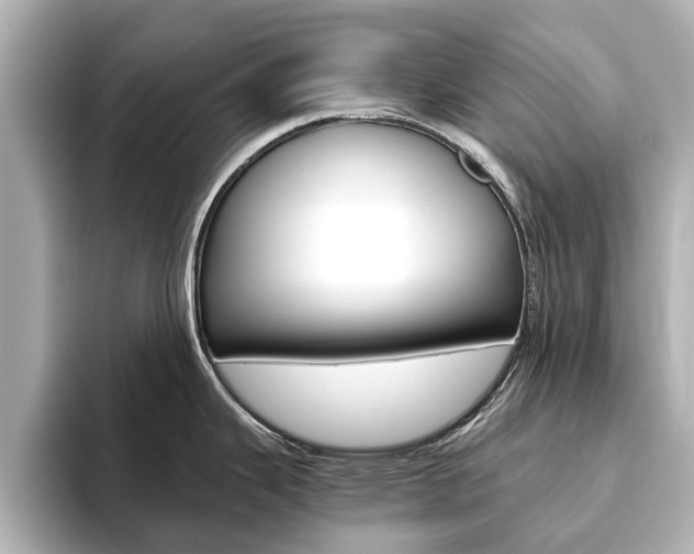 X0000093771343200710160849
