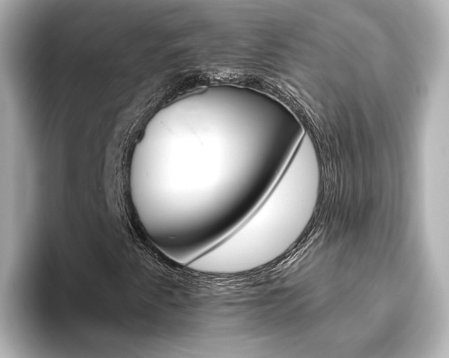 X0000093771345200710160848