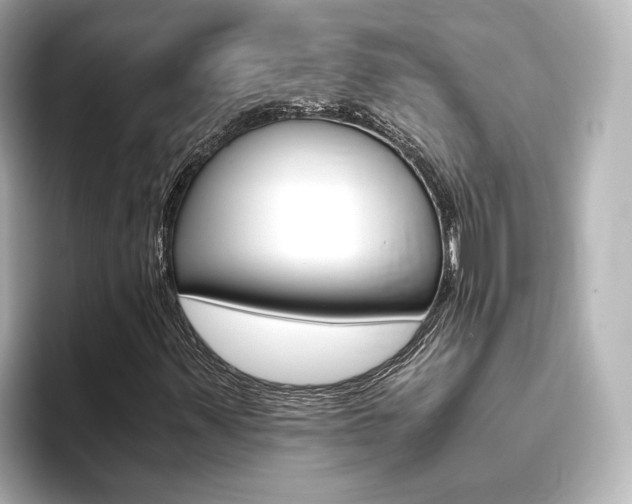 X0000093771347200710160848