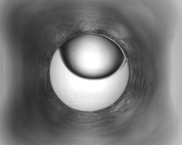 X0000093771348200710160848