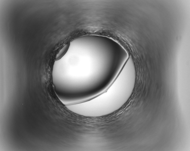 X0000093771349200710160848
