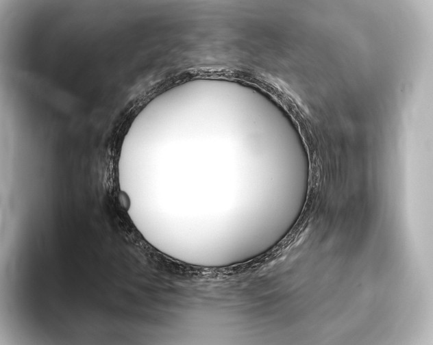 X0000093771350200710160848