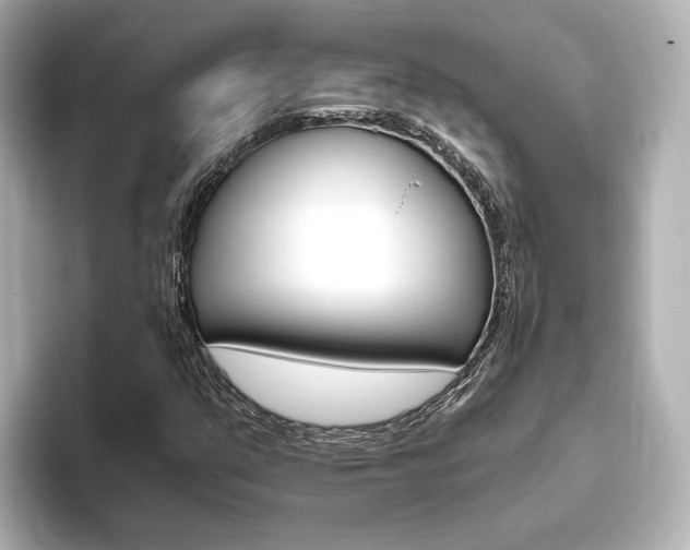 X0000093771351200710160848
