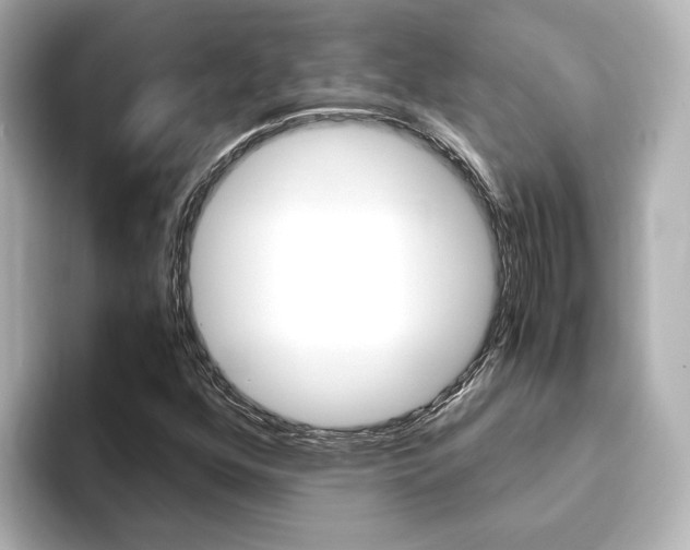 X0000093771352200710160848