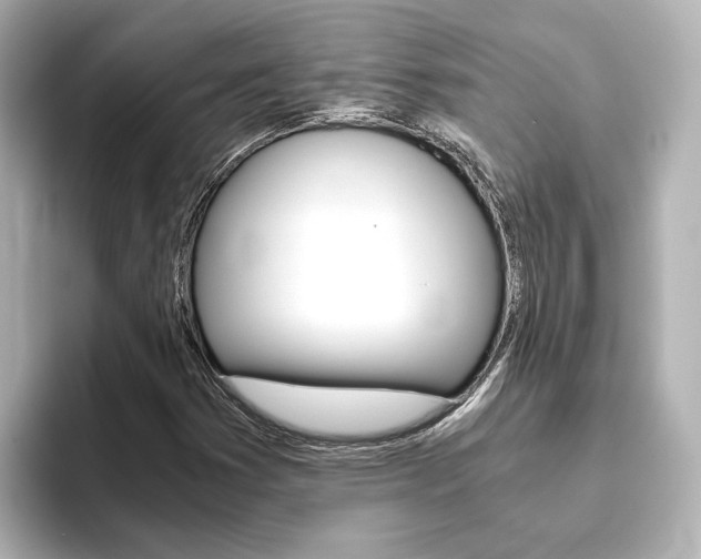 X0000093771353200710160848