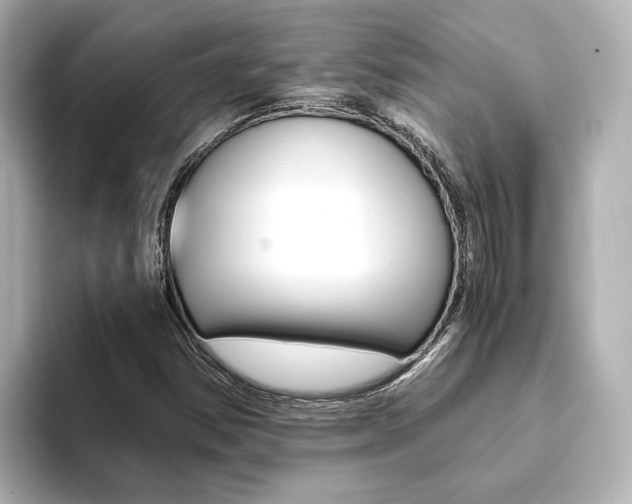 X0000093771354200710160848