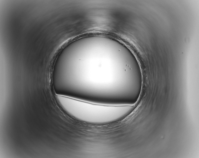 X0000093771355200710160848