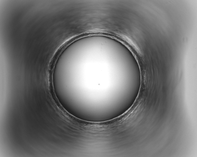 X0000093771356200710160848