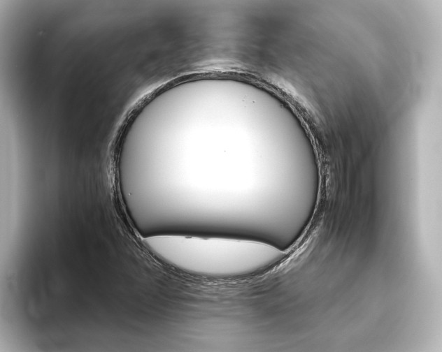X0000093771358200710160848