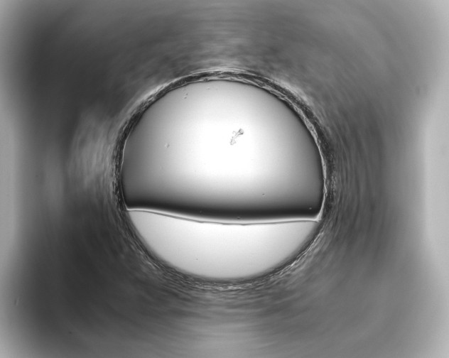 X0000093771359200710160848