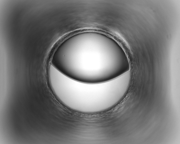 X0000093771360200710160848