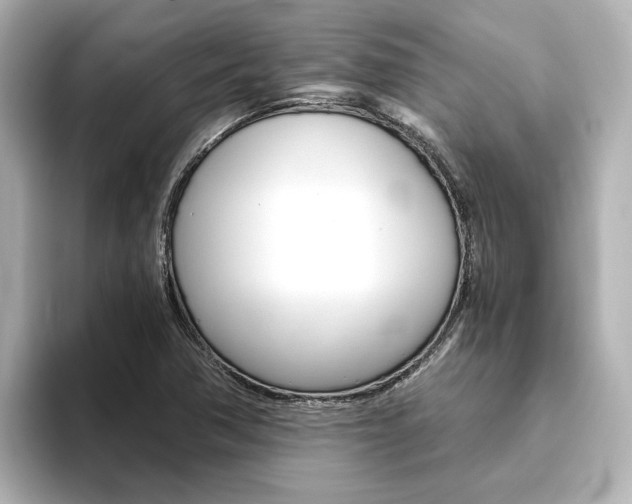 X0000093771362200710160848