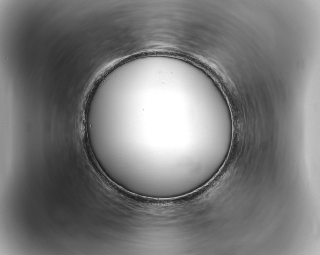 X0000093771363200710160848
