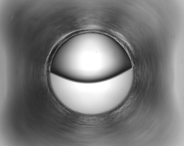 X0000093771364200710160848