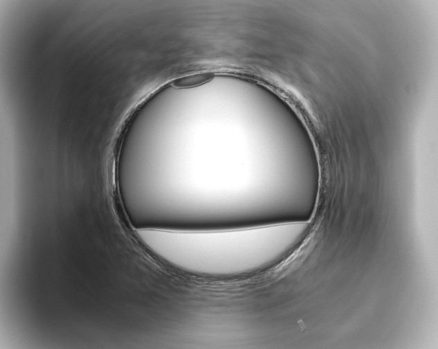 X0000093771365200710160848