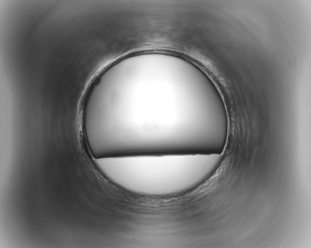 X0000093771366200710160848