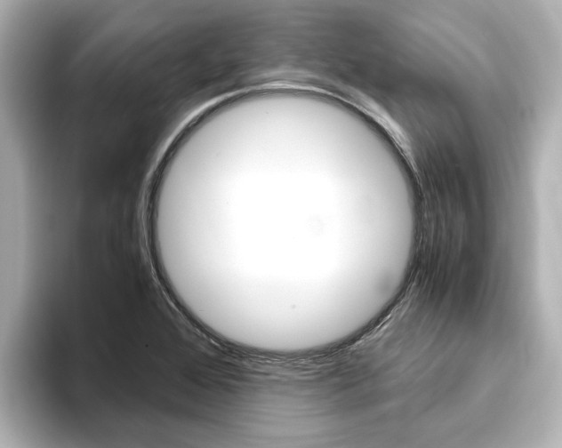 X0000093771368200710160848
