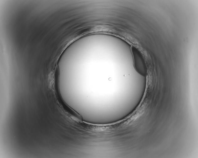 X0000093771369200710160848