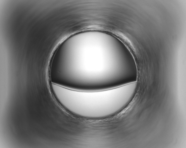 X0000093771373200710160848