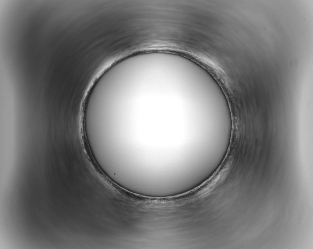 X0000093771374200710160848