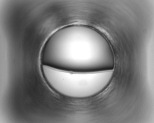 X0000093771375200710160848