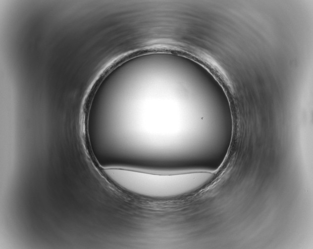 X0000093771376200710160848