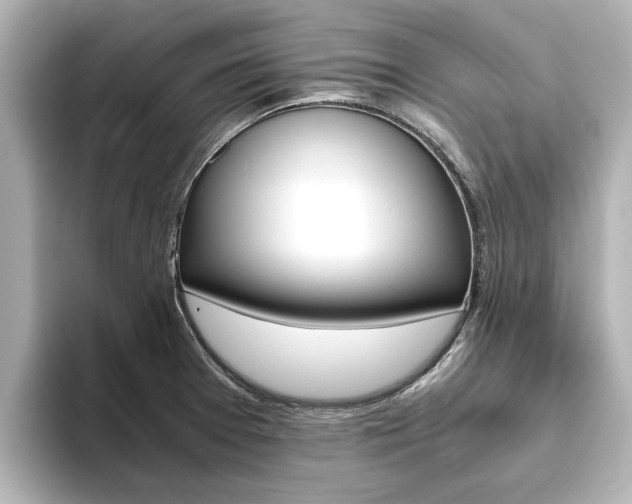 X0000093771377200710160848