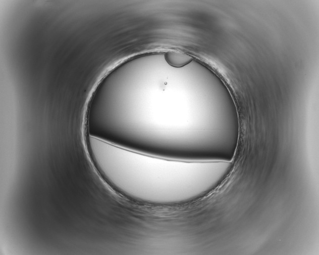 X0000093771379200710160848