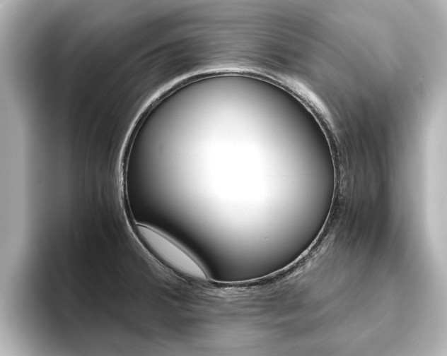 X0000093771380200710160848