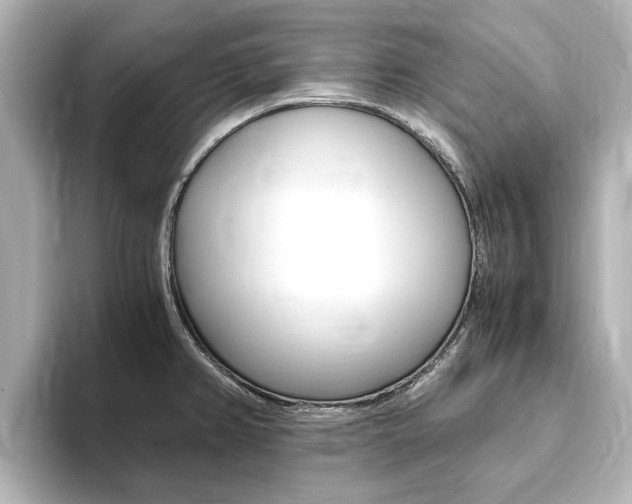 X0000093771382200710160848