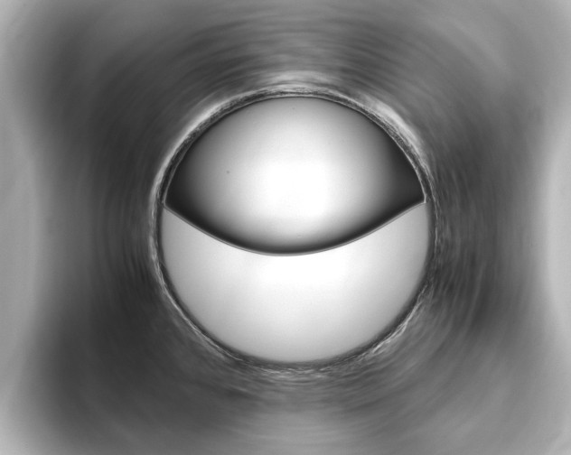 X0000093771384200710160848