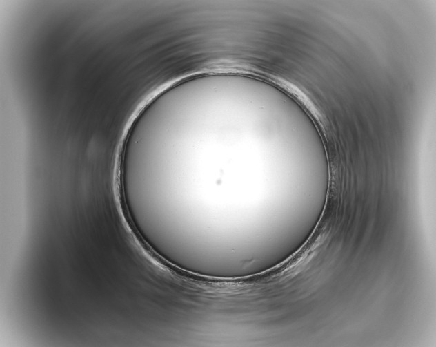 X0000093771387200710160847