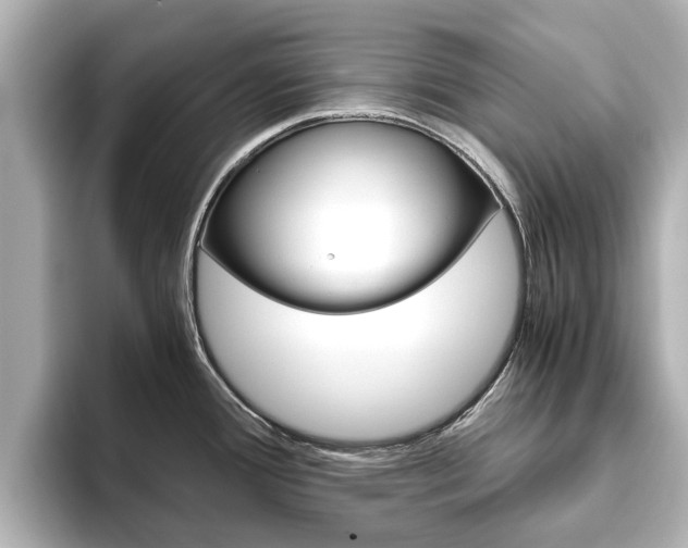 X0000093771388200710160847