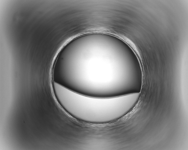 X0000093771389200710160847