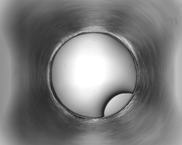 X0000093771390200710160847