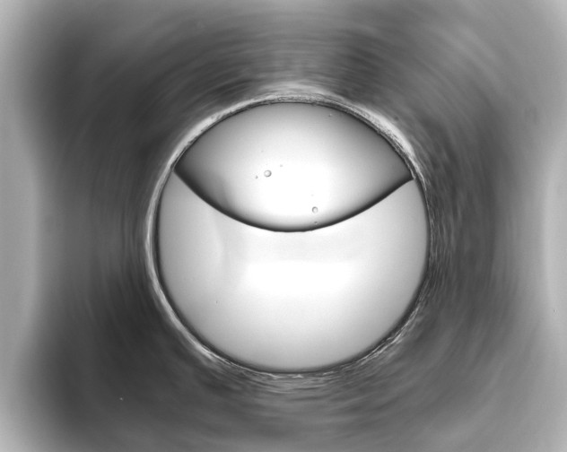 X0000093771391200710160847