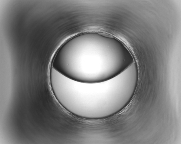 X0000093771392200710160847