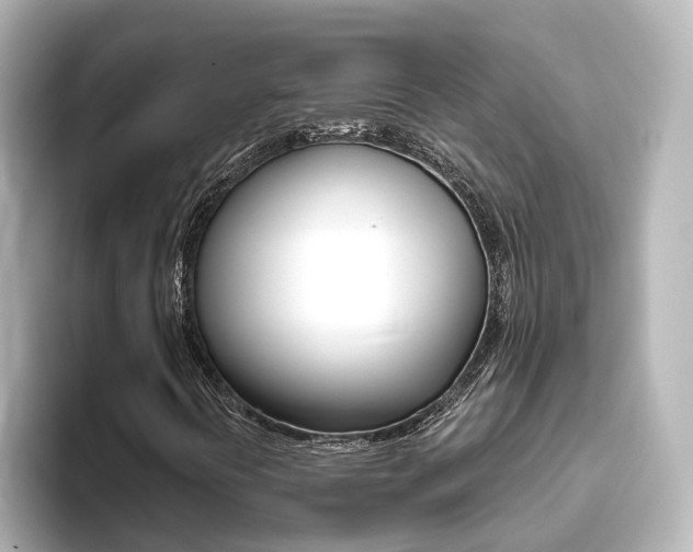 X0000093771394200710160847