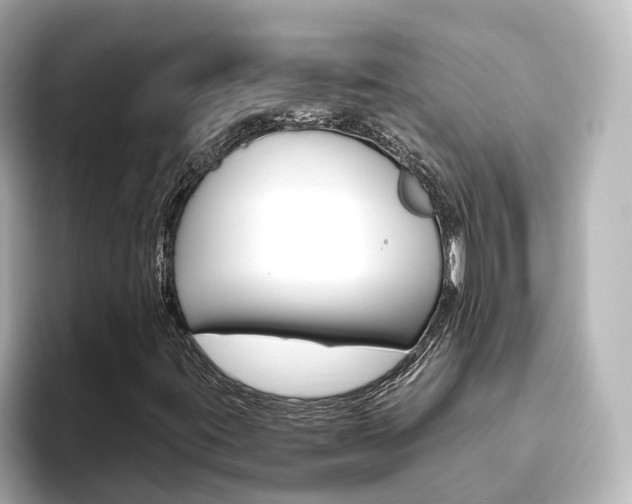 X0000093771395200710160847