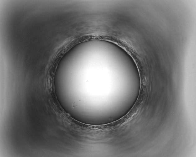 X0000093771398200710160847
