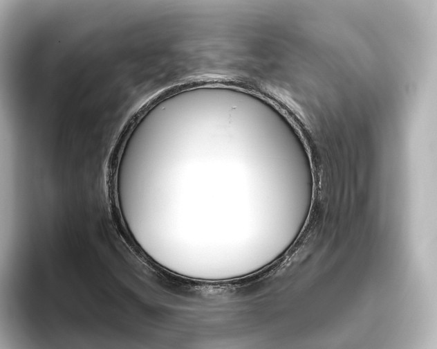 X0000093771404200710160847