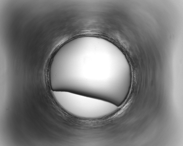 X0000093771405200710160847