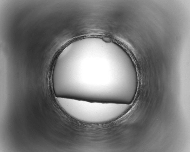 X0000093771407200710160847