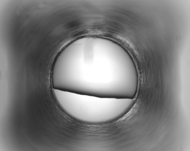 X0000093771409200710160847
