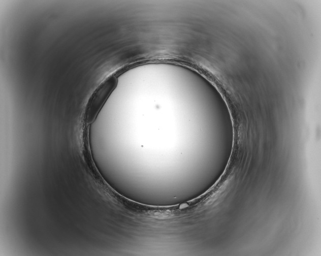 X0000093771410200710160847