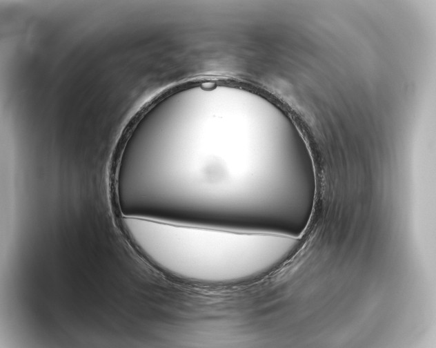 X0000093771412200710160847